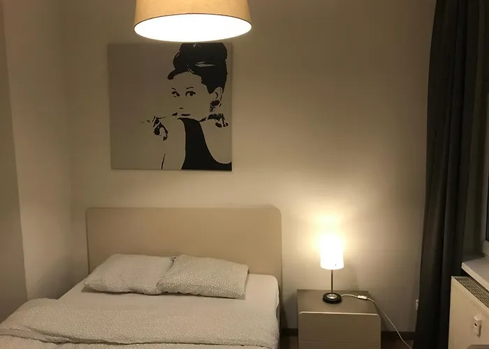 U Romana Πόζναν