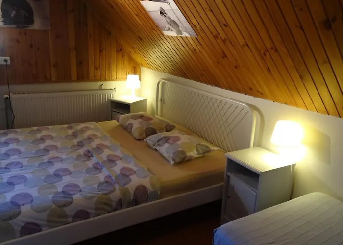 Δωμάτια σε οικογενειακή κατοικία U Romana *